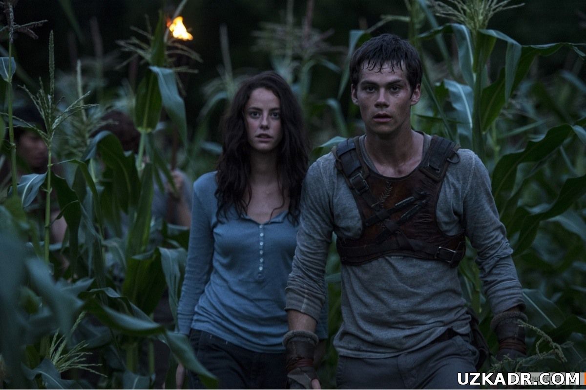 Бегущий в лабиринте (2014)